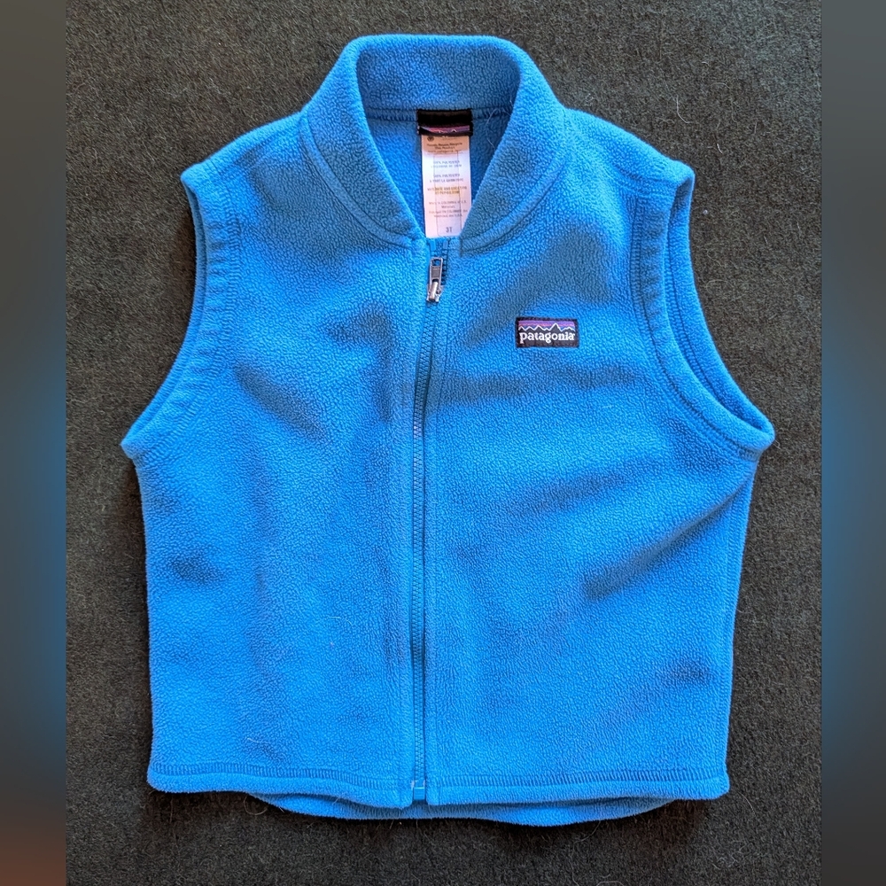 Patagonia Vibrant Blue Zip-Up Fleece